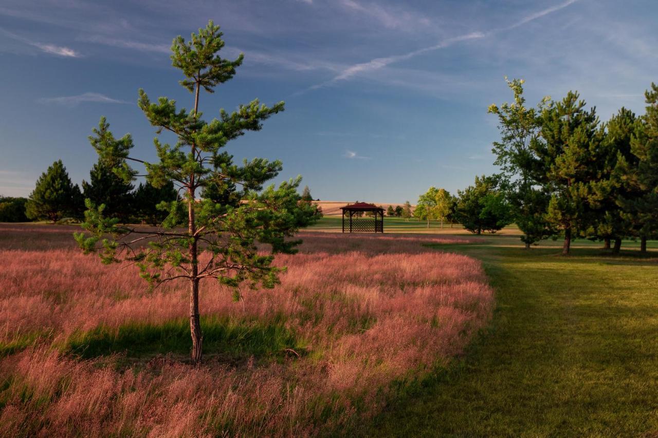 Darovansky Dvur - Wellness & Golf Hotel Браси Экстерьер фото